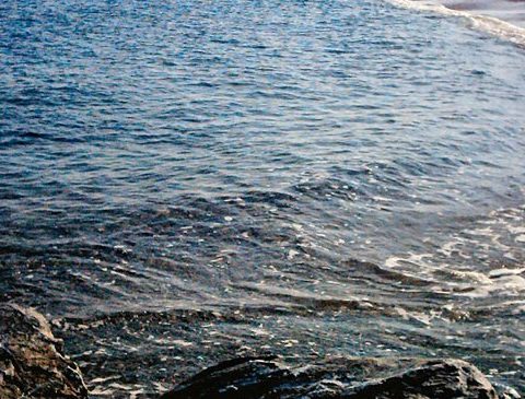 mare