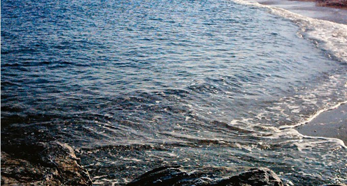 mare