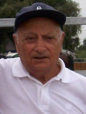 vittorio giorgi