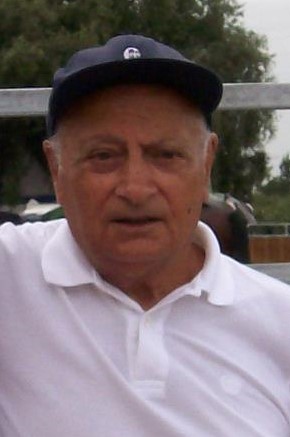 vittorio giorgi