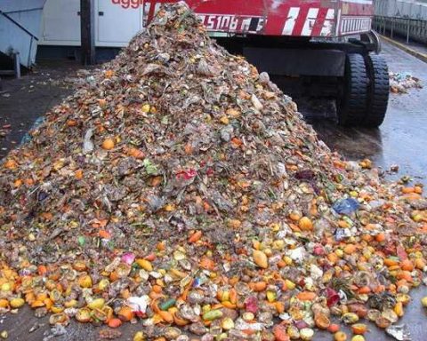 forsu-biogas