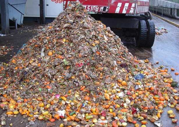 forsu-biogas