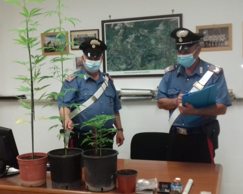 Stupefacenti e materiale sottoposto a sequestro