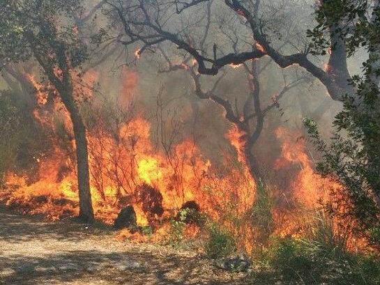 Itri incendi
