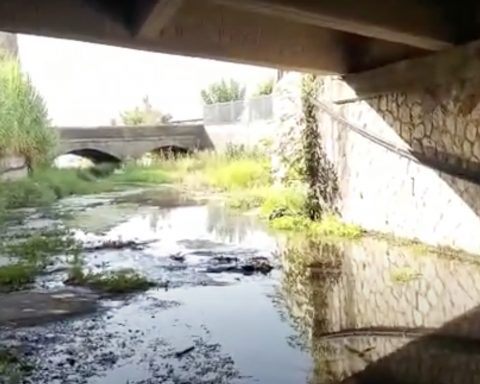 Torrente Pontone