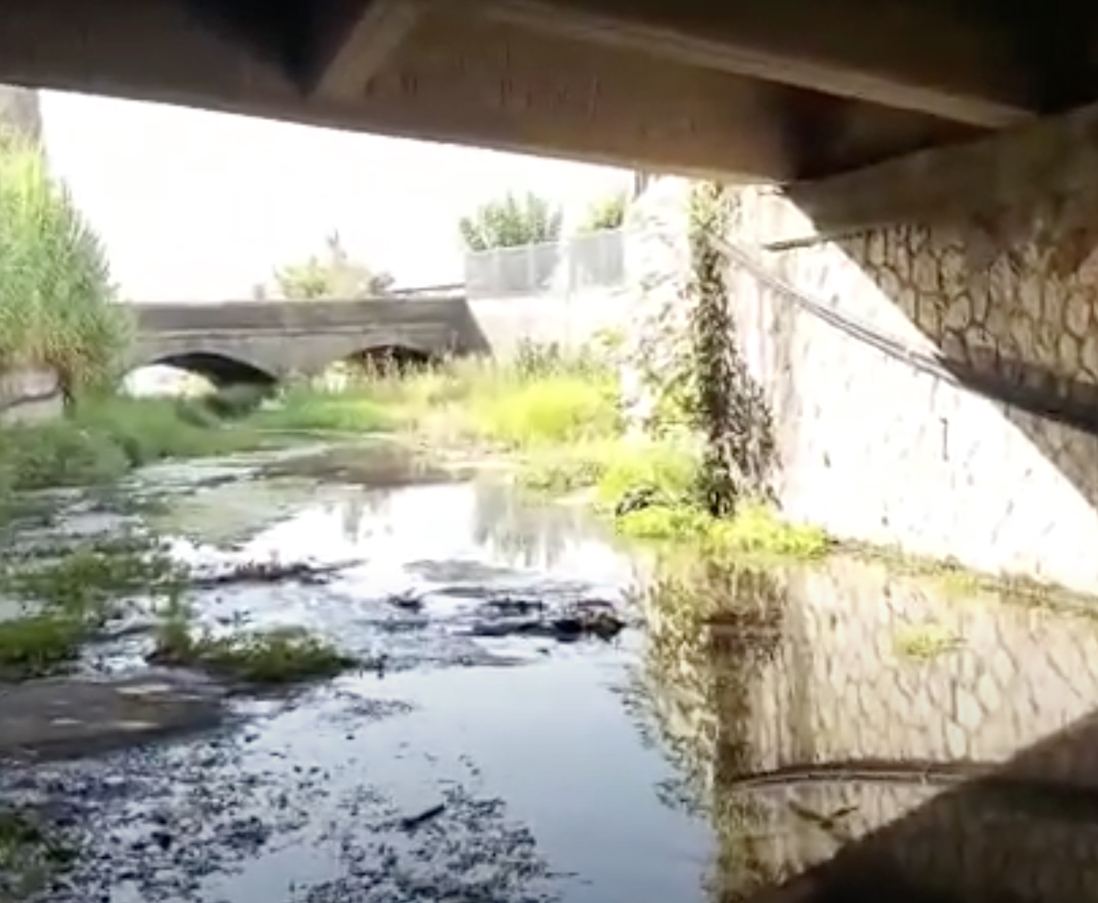 Torrente Pontone
