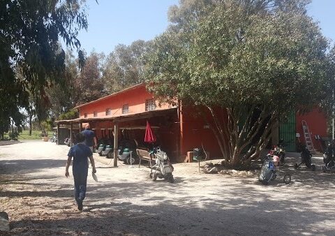 Ex Oasi Golf Club di Aprilia