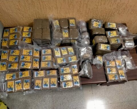 L'hashish trovato nella disponibilità del 36enne rumeno: circa 17 chili