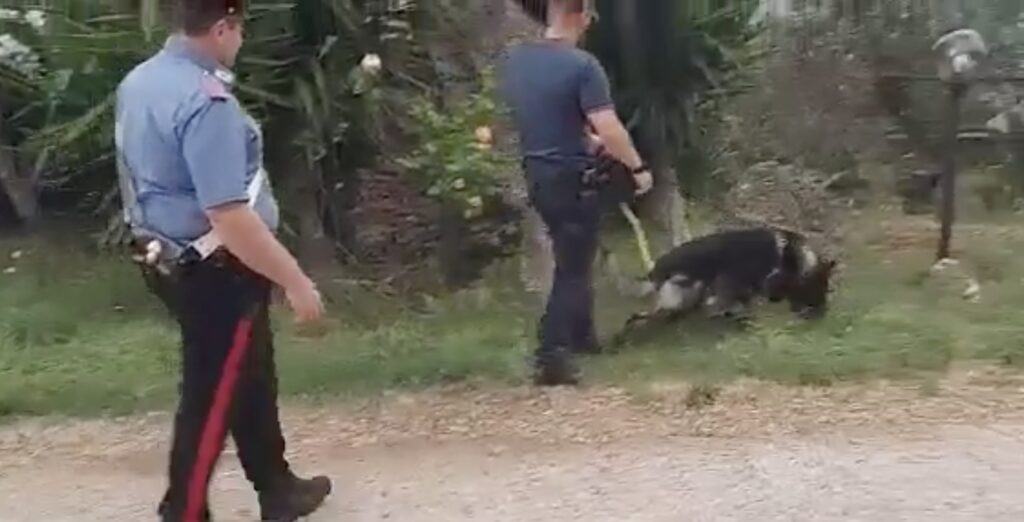 I Carabinieri nel corso dell'operazione anti-droga eseguita stamani 9 giugno 2022