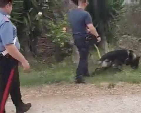 I Carabinieri nel corso dell'operazione anti-droga eseguita stamani 9 giugno 2022