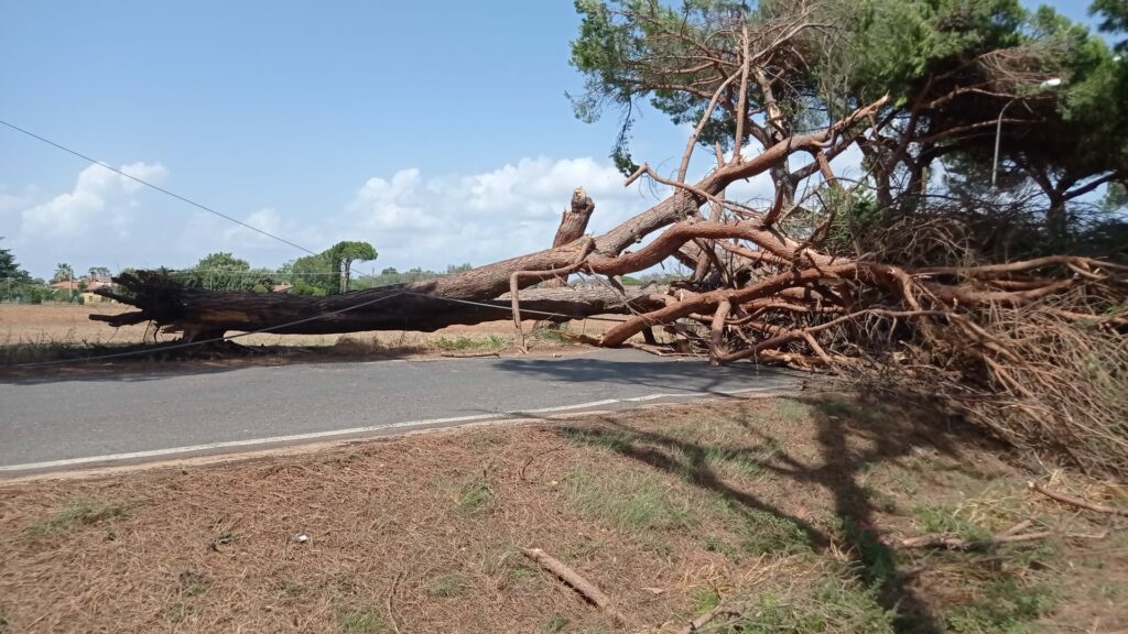 Alcuni dei danni provocati dal maltempo a Borgo Grappa