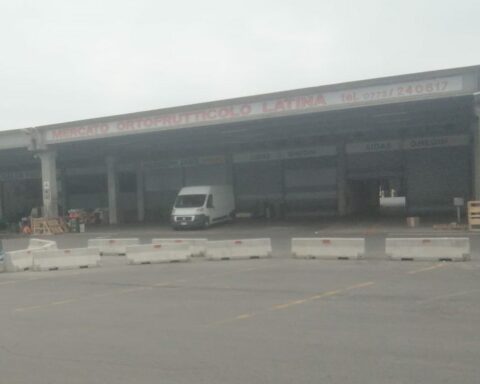 Mol Latina