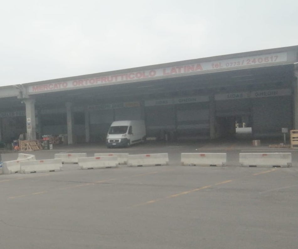 Mol Latina