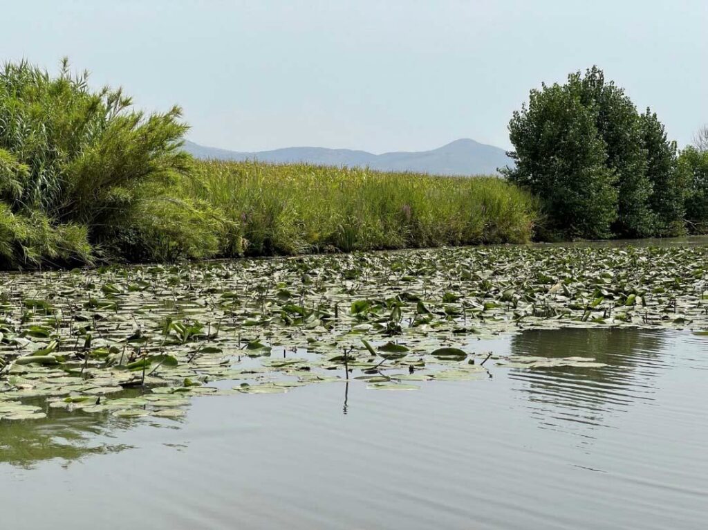 tratto canale Selcella