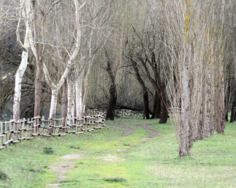 Giardino-Belvedere-Suio-Terme-web2