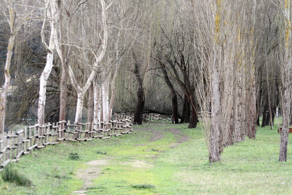 Giardino-Belvedere-Suio-Terme-web2