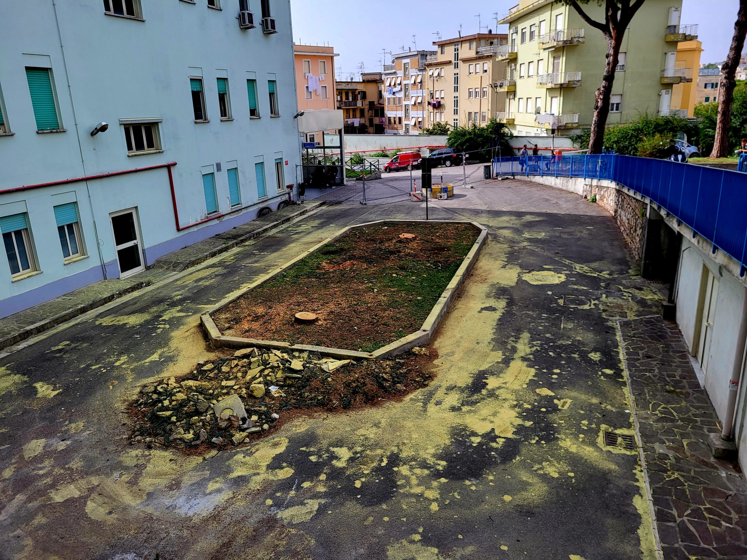 Il taglio dei larici al Dono Svizzero