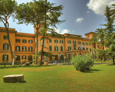 SAN CAMILLO