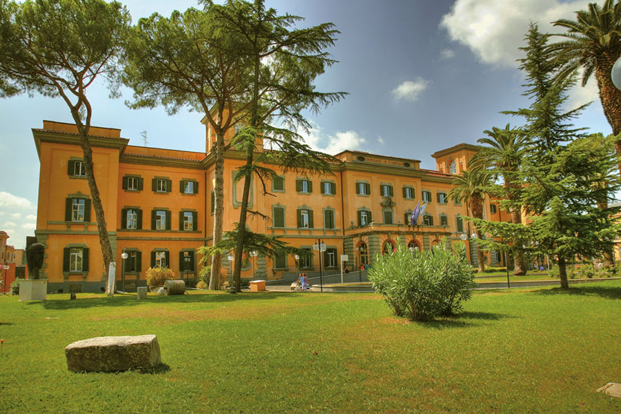 SAN CAMILLO