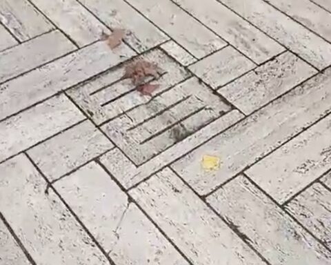 Il cortile della scuola di Piazza Dante completamente allagato